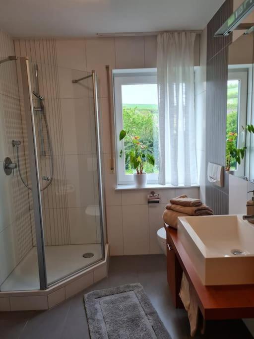 Ferienwohnung Panoramablick Bad Mergentheim Exteriér fotografie